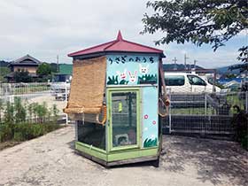 ウサギ小屋 - 園児達がかわりばんこでウサギの世話をしています。動物を通して命の大切さや思いやる心を学びます。